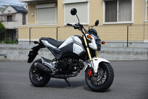 29582670375_8a6bf32196_z-thumb